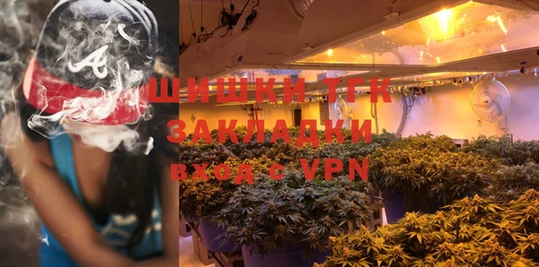 ECSTASY Медногорск