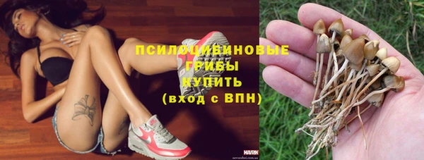 хмурый Михайловка